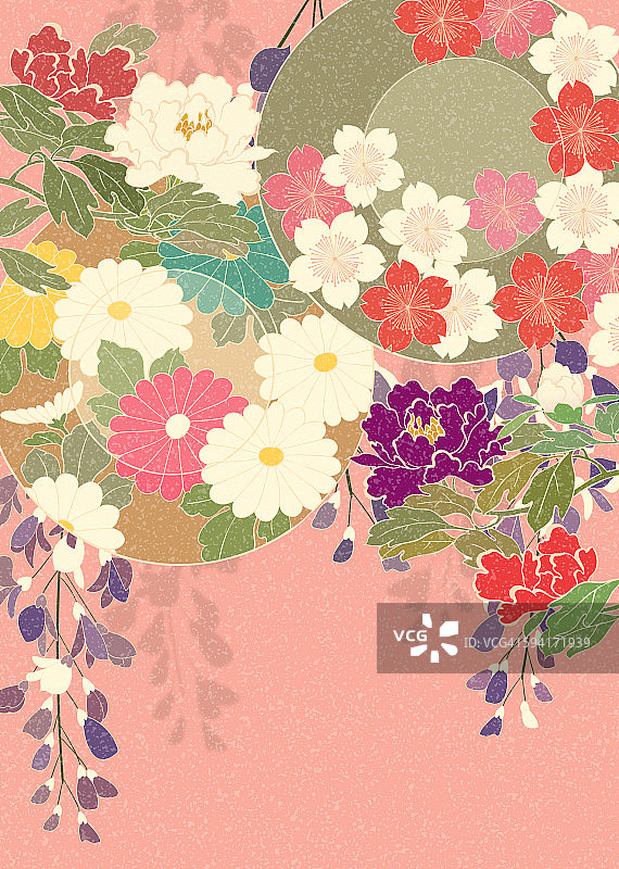 东方背景，樱花和菊花图片素材