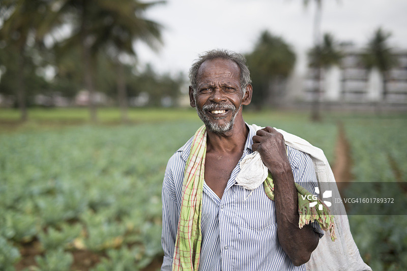 快乐的印度农民站在卷心菜地里。图片素材