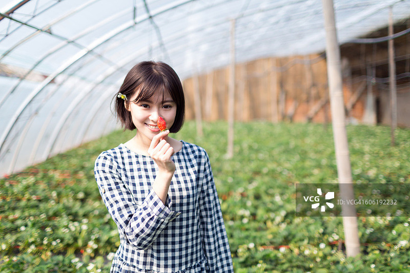 草莓农场的漂亮女孩图片素材