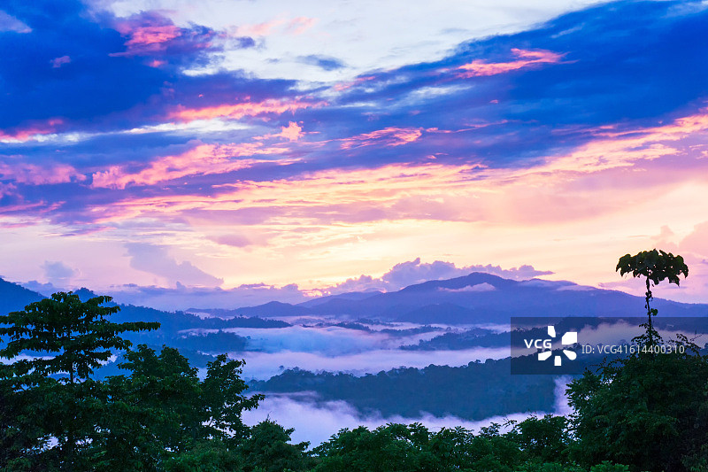 婆罗洲丹纳姆谷热带雨林上空生机勃勃的日出。图片素材