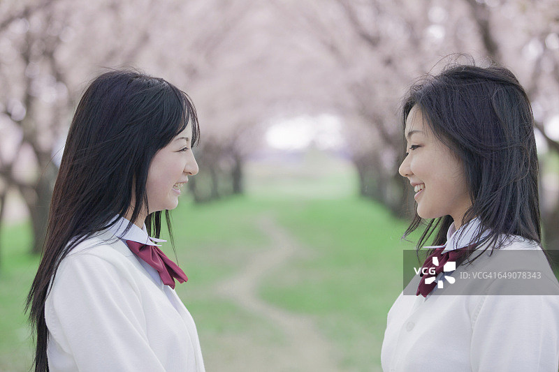 日本高中生面朝后面的樱桃树图片素材