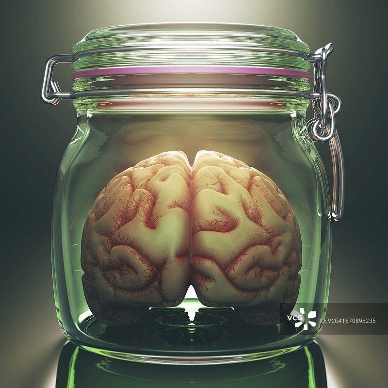 玻璃罐子里的人脑图片素材