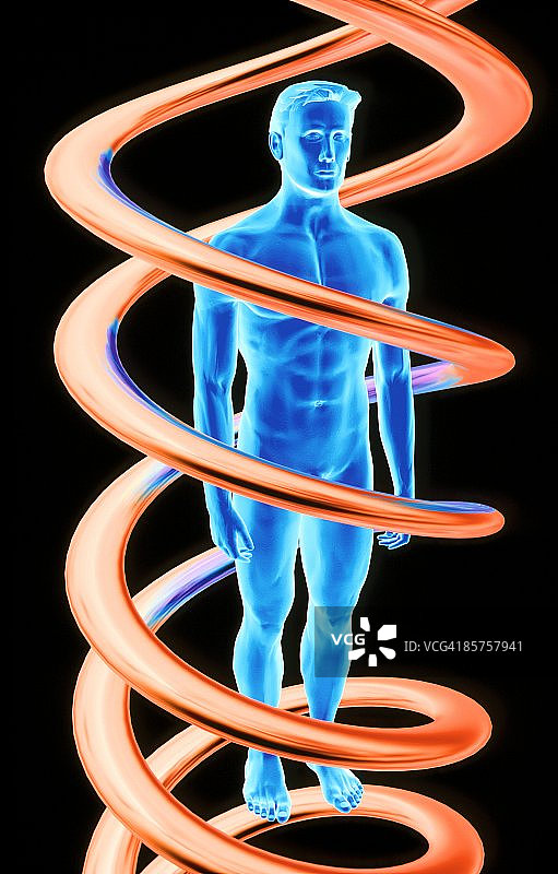 DNA分子缠绕人体的计算机绘图图片素材