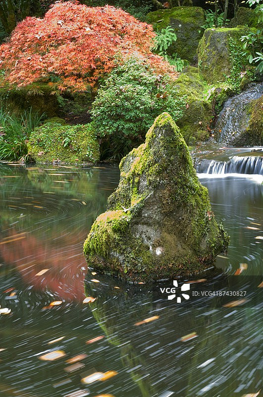 日本花园，美国俄勒冈州波特兰图片素材