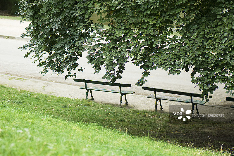 法国，巴黎，公园长椅下的树荫图片素材