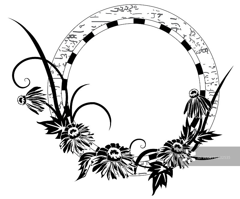 圆的雏菊框架图片素材