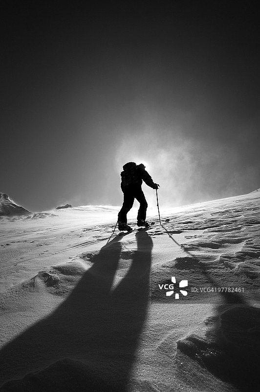 一个滑雪者爬上贝克山，华盛顿，太阳在他身后，一个影子穿过图片素材