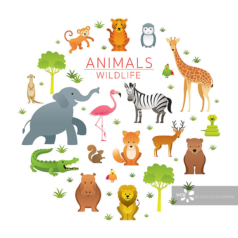 野生动物组，动物园图片素材