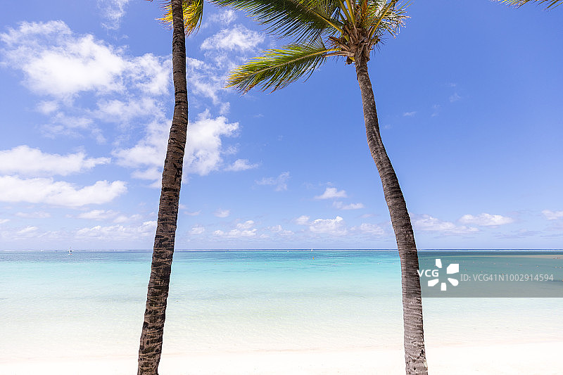 俯瞰白色的沙滩和棕榈树，清澈的绿松石海在背景。La Gaulette, Rivière Noire，毛里求斯。图片素材