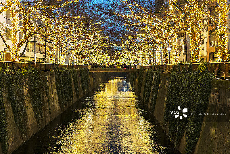 2017年12月20日，在圣诞季节的黄昏，数百万LED灯从日本东京目黑河两岸反射到河上，照亮了一排排的樱花树。图片素材