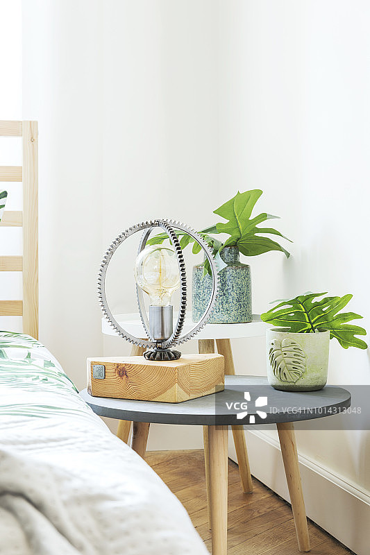 现代和时尚的卧室植物，设计灯和花卉图案床上用品。明亮的阳光空间，镶木地板和白色墙壁。图片素材