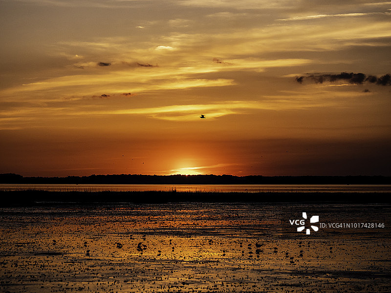 Chincoteague国家野生动物保护区的日落图片素材