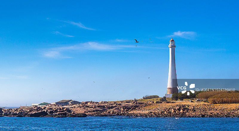 灯塔在Isla de Lobos(岛)，海狮在海岸，靠近蓬德尔埃斯特市，乌拉圭图片素材