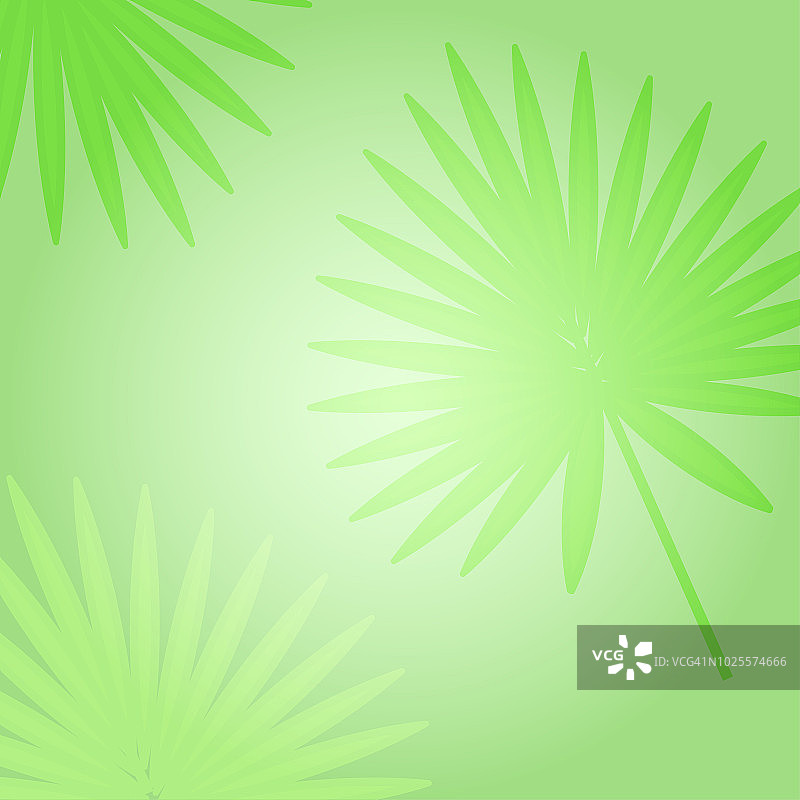 热带绿色背景与棕榈叶。矢量图图片素材