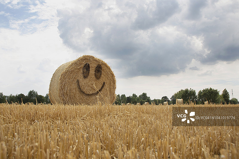 在夏天的时候，笑脸在田野的稻草捆上。图片素材