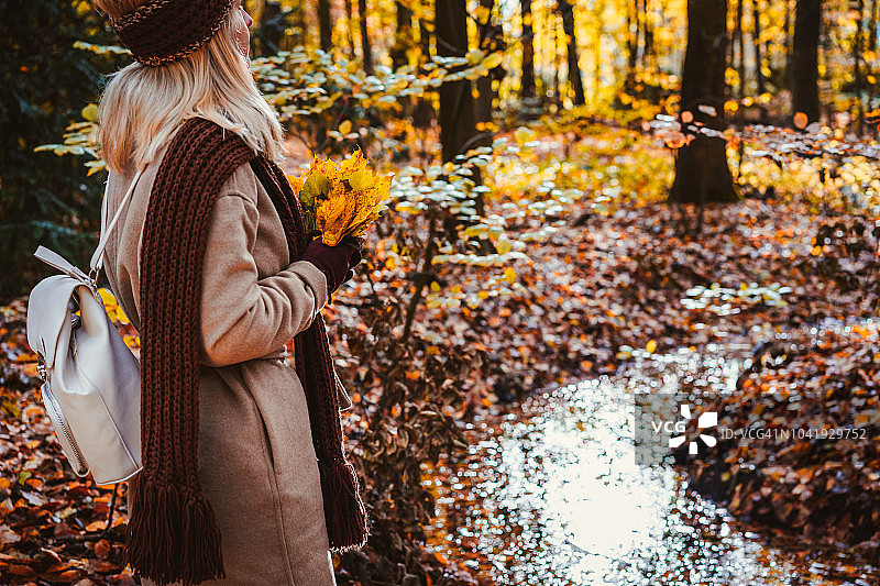 后视图的女性拿着一束黄色的秋天枫叶在她的手套的手。地面覆盖着橙色的叶子，被温暖的夜晚照亮，背光的阳光反射在池塘里图片素材