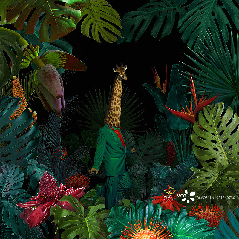 超现实的丛林肖像图片素材