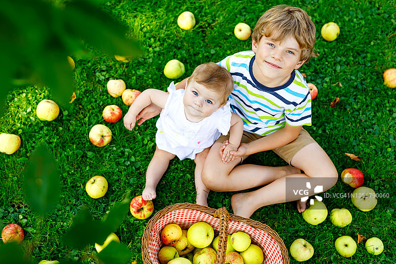 初秋的时候，两个孩子在农场里摘苹果。小女孩和小男孩在苹果树园里玩耍。孩子们在篮子里摘水果。图片素材