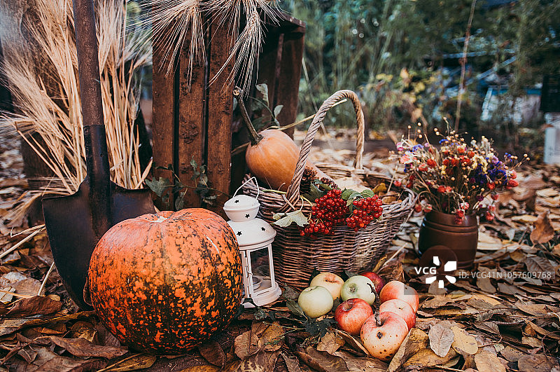 秋天的食物装饰感恩节图片素材
