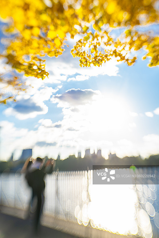 2018年10月24日，美国纽约，人们在中央公园水库的秋色树下观看曼哈顿摩天大楼。图片素材