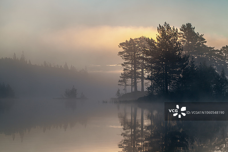 晨雾——森林中的清晨图片素材