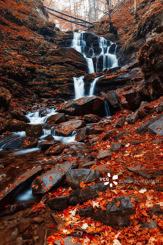 秋天森林里的瀑布。明亮的红色树叶图片素材