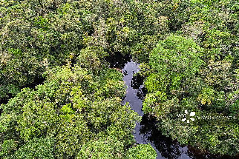 热带雨林全景图片素材