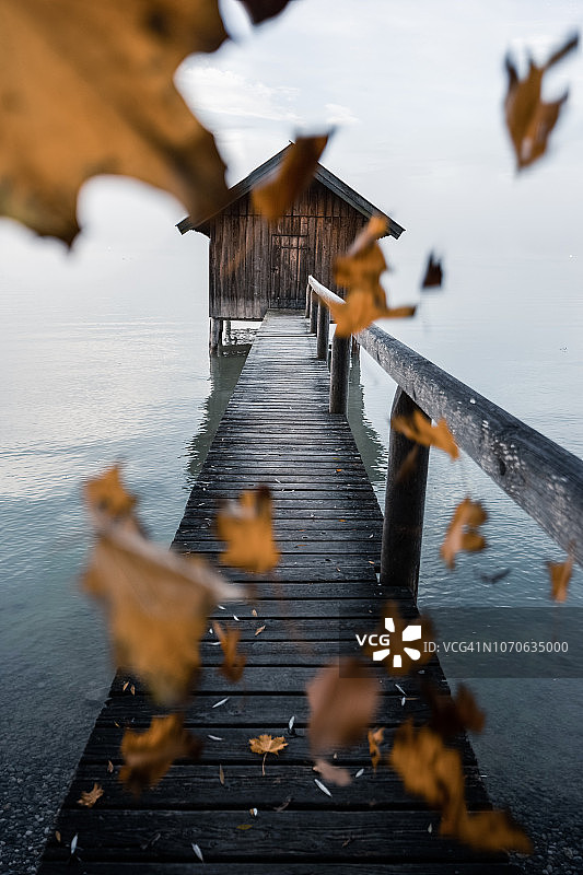 在Ammersee湖的船屋里飘落的秋叶图片素材
