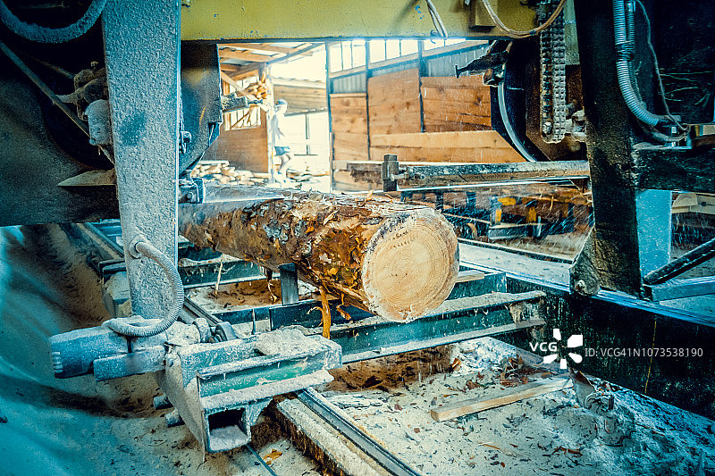 锯木厂。在锯木机加工原木的过程中锯断了木材图片素材