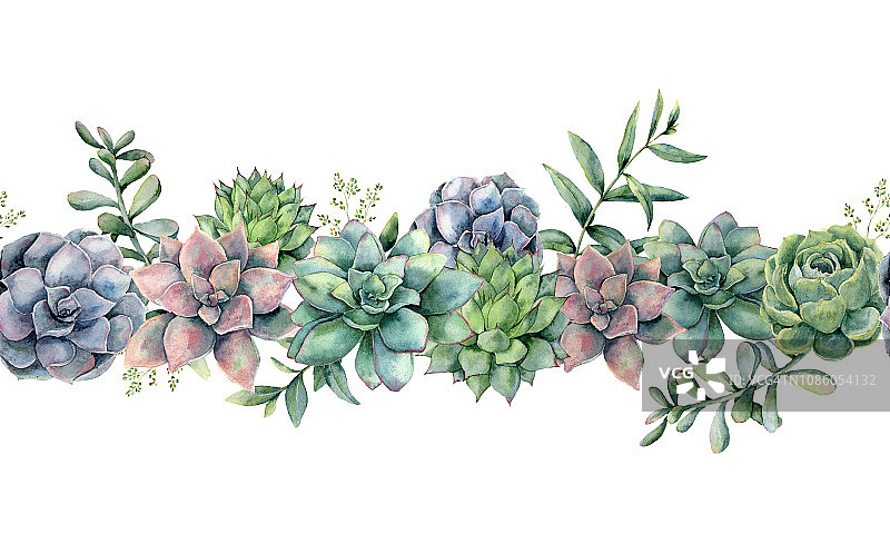 水彩多肉无缝花束。手绘绿色，紫色，粉红色的仙人掌，桉树的叶子和树枝孤立在白色的背景。植物插图设计，印刷。绿色植物图片素材