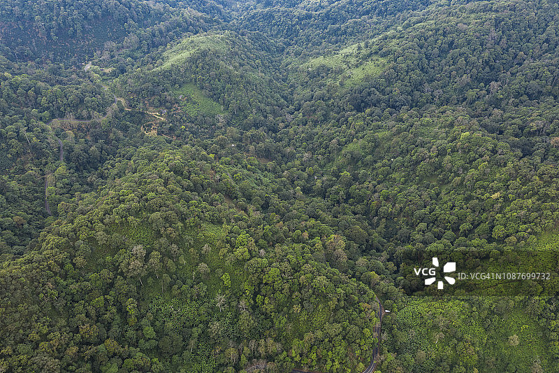 位于泰国清迈热带雨林山区图片素材