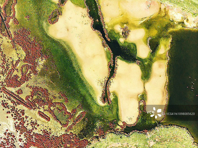 湿地鸟瞰图，伊兹密尔图片素材