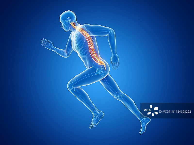 一个慢跑者的脊椎的插图图片素材