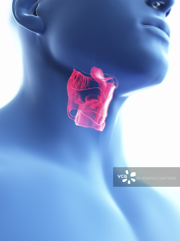一个男人喉部的插图图片素材