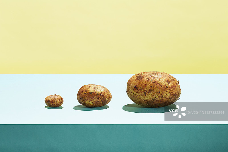 三个越来越大的土豆图片素材