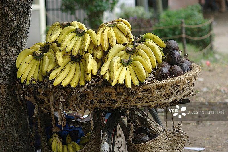 非洲，坦桑尼亚，达累斯萨拉姆，2009:装满香蕉的自行车图片素材