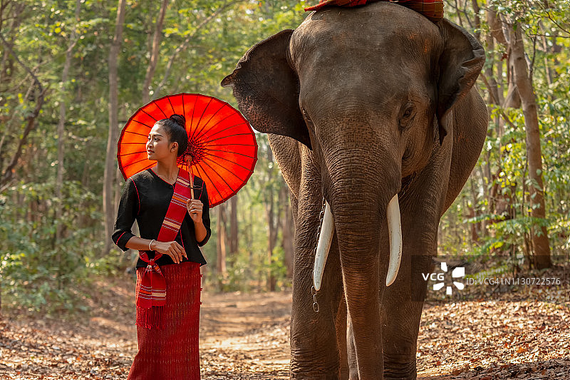 亚洲女人喜欢大象。图片素材