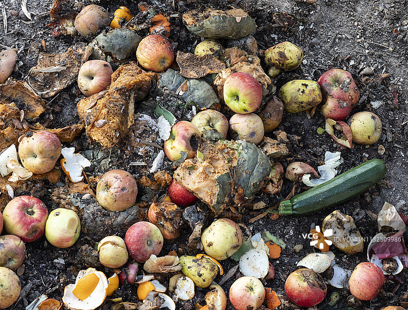 有腐烂的水果和面包残渣的有机垃圾。图片素材