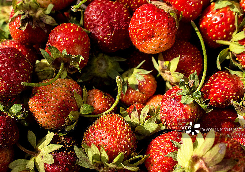 美味，成熟，芳香的草莓，特写图片素材