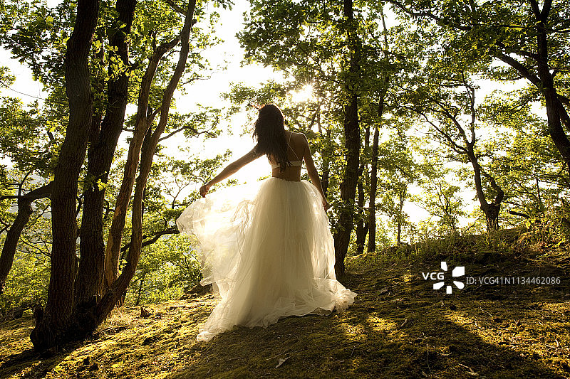 后视图的年轻女子在森林穿着薄纱裙图片素材