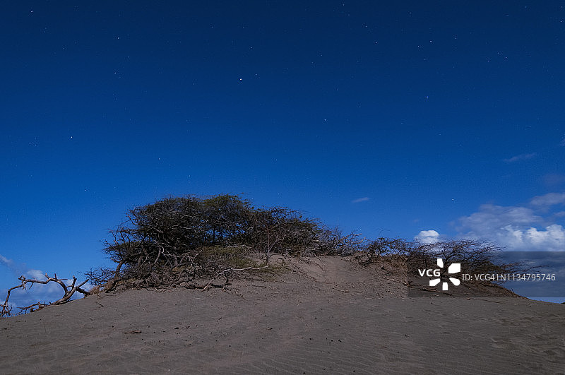 晚上的沙丘Baní。Domincan共和国图片素材