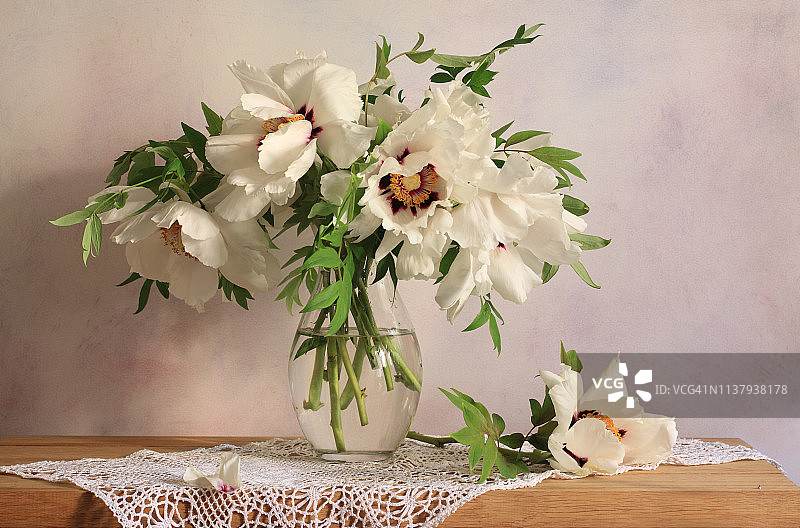 白牡丹花束图片素材