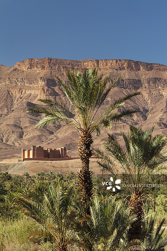 Tamnougalt Kasbah, Draa Valley, Atlas Mountains，摩洛哥，北非，非洲图片素材