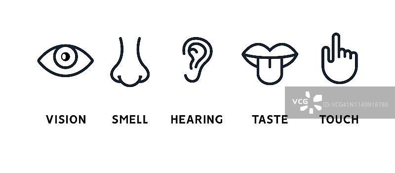 人类的五种感官:视觉眼睛、嗅觉鼻子、听觉耳朵、触觉手、味觉嘴和舌头。线矢量图标集图片素材