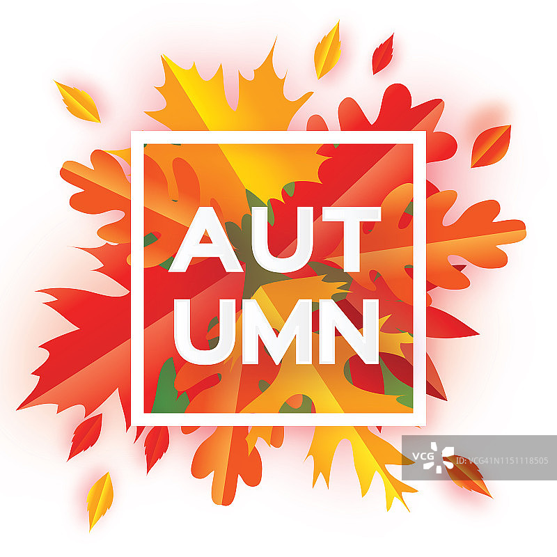 美丽的秋天剪纸叶子。你好,秋天。九月传单模板。方形框架。文本空格。折纸树叶。枫木,橡木。秋季海报背景。向量图片素材