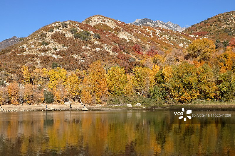 瓦萨奇山秋天的颜色反射在贝尔峡谷水库图片素材