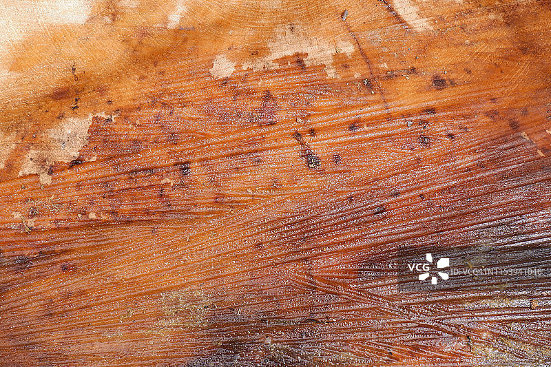 木材纹理与天然木材背景图片素材