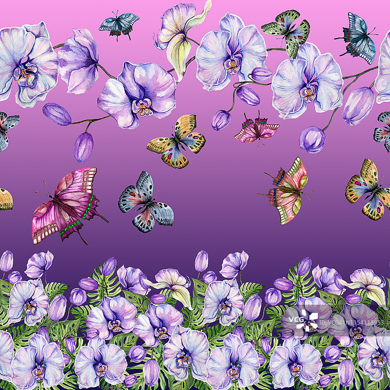 美丽的异国兰花，怪兽的叶子和飞舞的蝴蝶的背景。无缝热带花卉图案，镶边。水彩画。手绘插图。图片素材