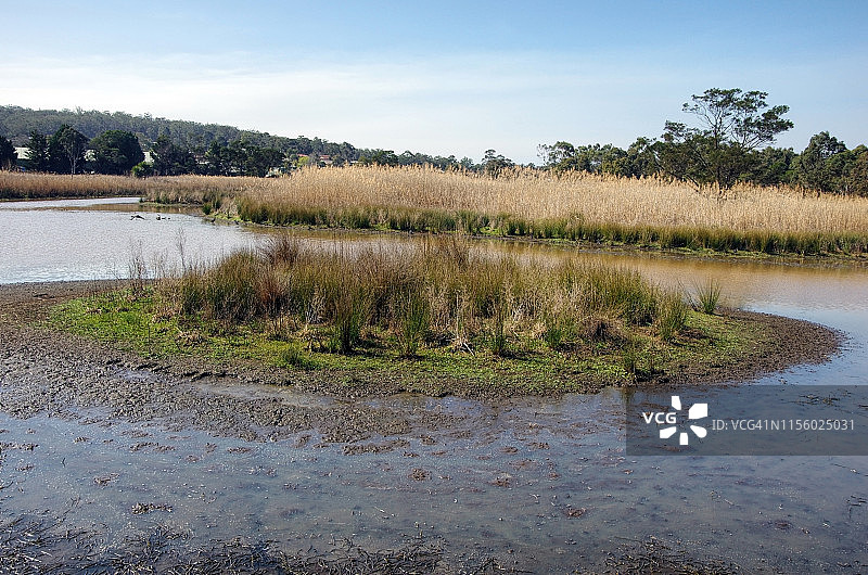 Tips billabong, Panboola - Pambula湿地和遗产项目，Pambula，新南威尔士，澳大利亚图片素材