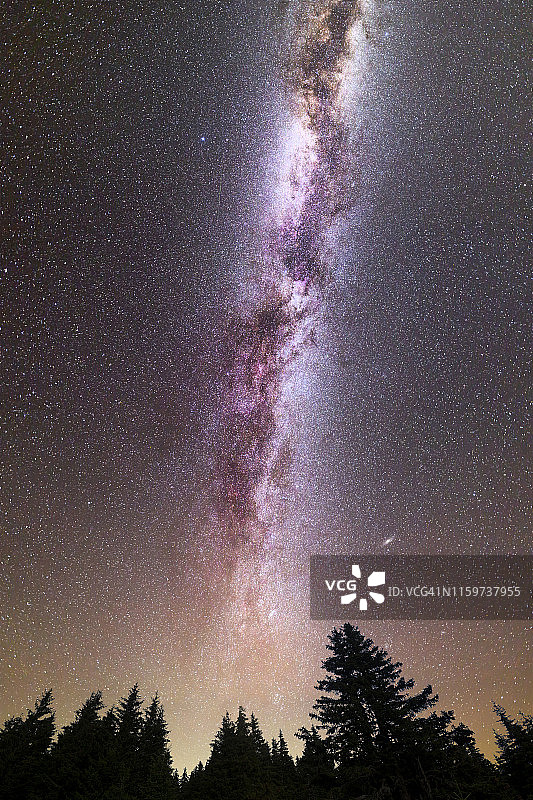 紫色银河陨星松树剪影图片素材